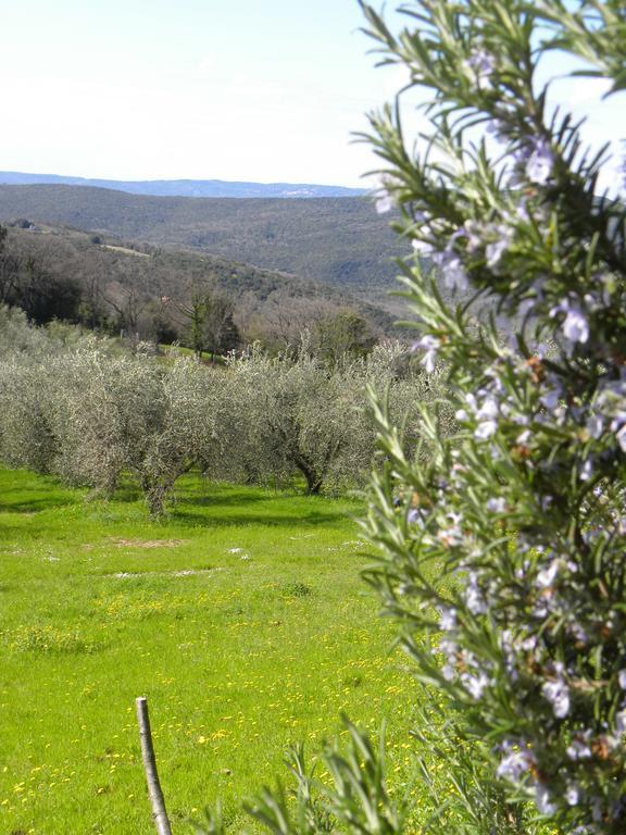 Agriristoro Podere S. Andrea Massa Marittima Exterior photo