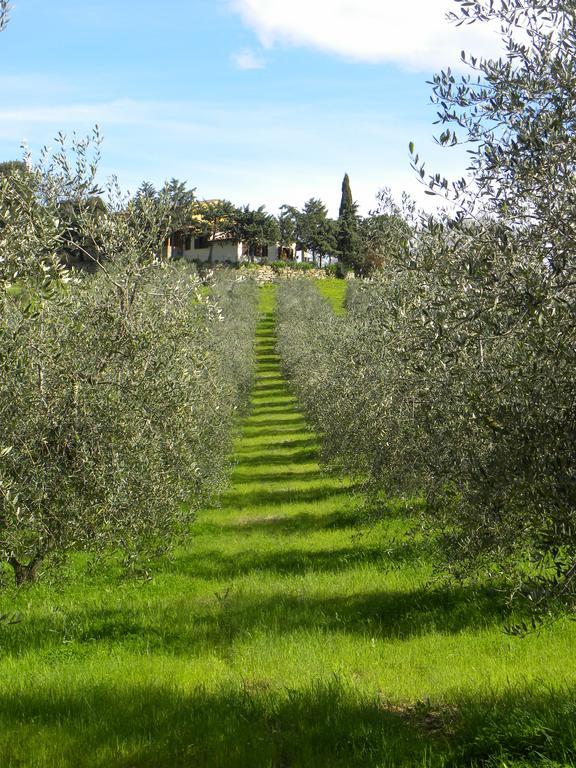 Agriristoro Podere S. Andrea Massa Marittima Exterior photo